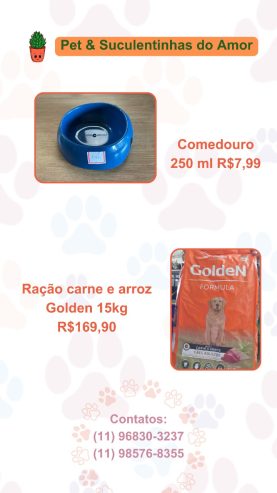 Pet e Suculentinhas do Amor