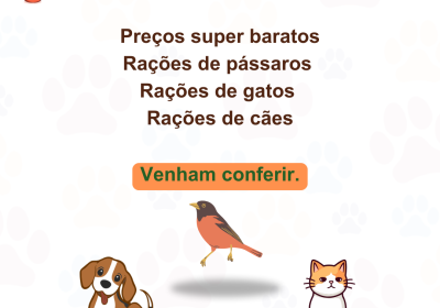 Pet e Suculentinhas do Amor