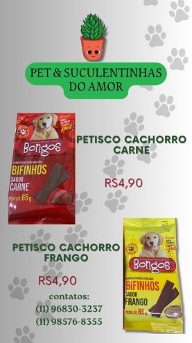 Pet e Suculentinhas do Amor
