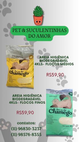 Pet e Suculentinhas do Amor
